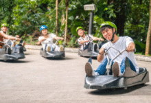 skyline luge