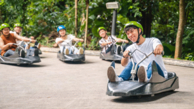 skyline luge