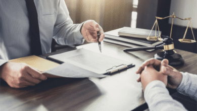 financial expert witness services