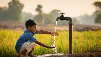 rural well water treatment