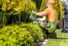 Landscaping Services