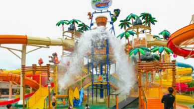 splash mania